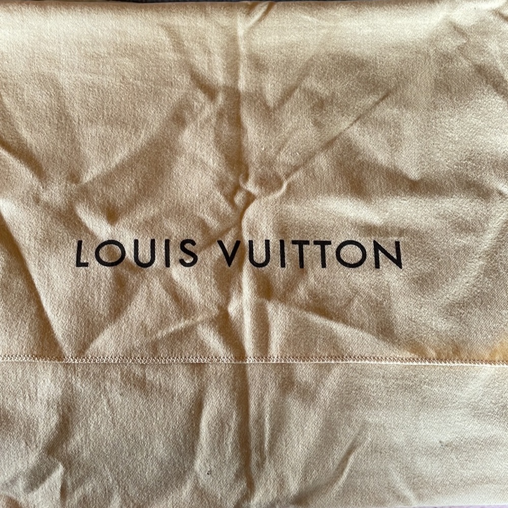 Louis Vuitton handbag dust storage bag